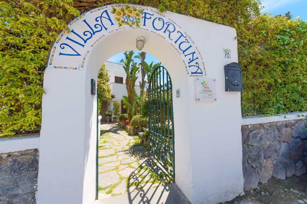 Villa Fortuna Holiday Resort Ischia Esterno foto